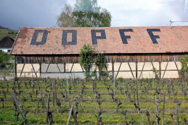 Riquewihr (Dopff Vineyard)